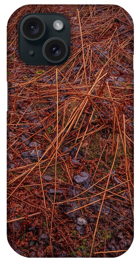 Blue Mountain-birch Cove Lakes Wilderness Area iPhone Case featuring the photograph Aftermath by Irwin Barrett