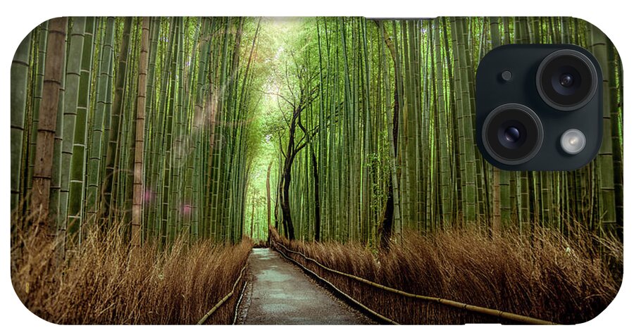 Bamboo iPhone Case featuring the photograph Afternoon in the Bamboo by Rikk Flohr