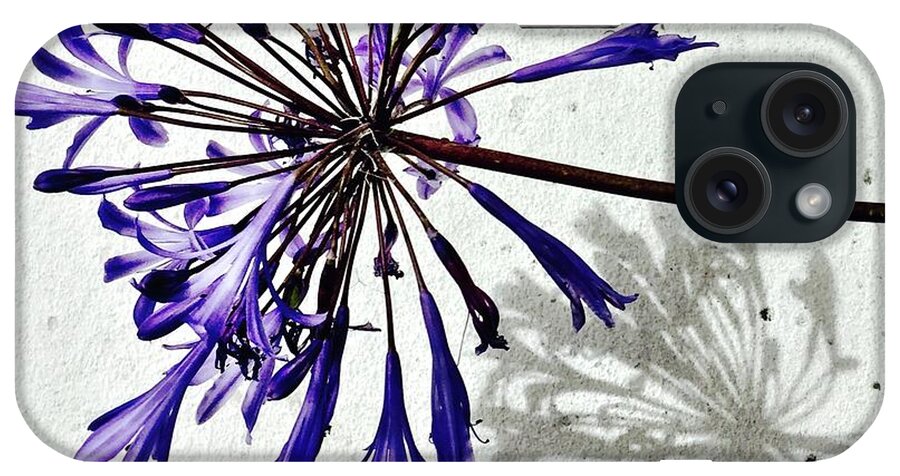 Flower iPhone Case featuring the photograph Agapanthus by Julie Gebhardt