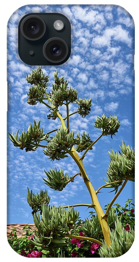 Agave iPhone Case featuring the photograph Agave Sky by Steve Ondrus
