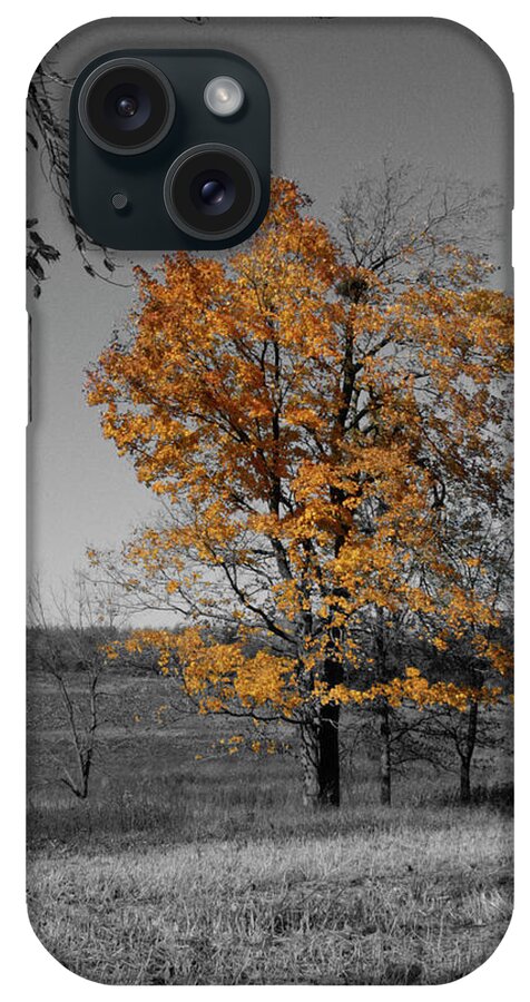 Fall iPhone Case featuring the photograph Aglow by Dylan Punke