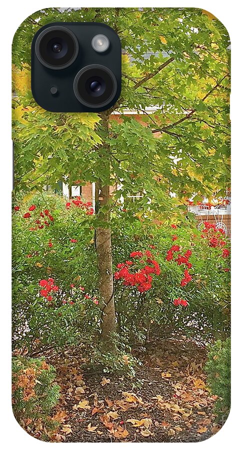 Autumn iPhone Case featuring the photograph Ah Autumn by Barbara Plattenburg