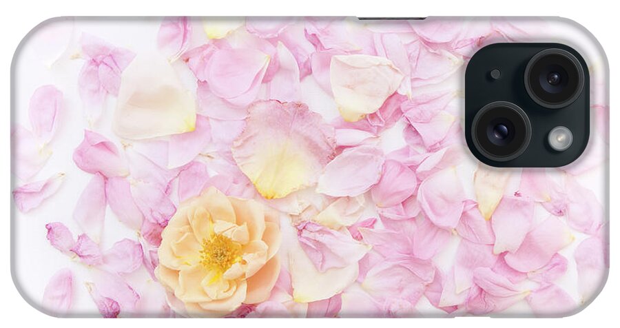 Rose Petal Pillow iPhone Case featuring the photograph Ah My Love, Ah My Own by Theresa Tahara