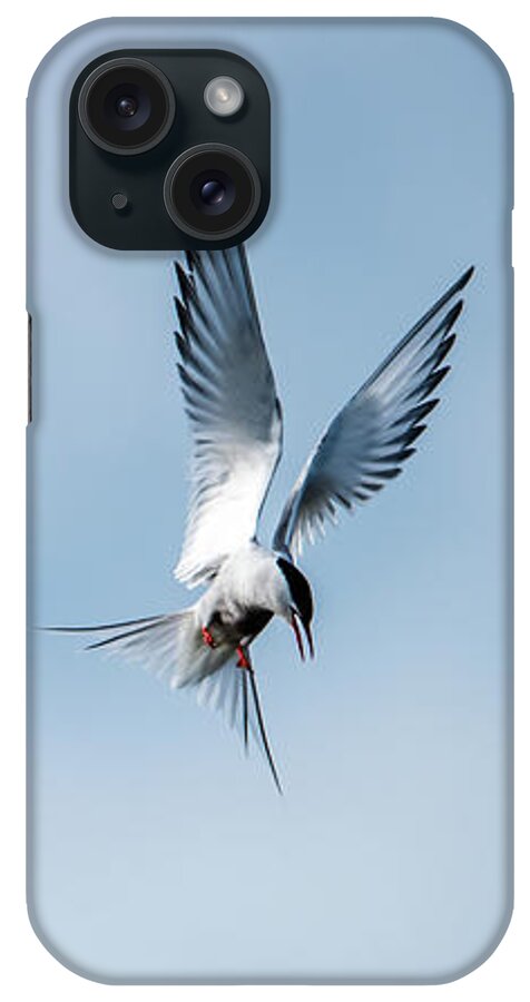 Aha A Fish iPhone Case featuring the photograph Aha a fish by Torbjorn Swenelius