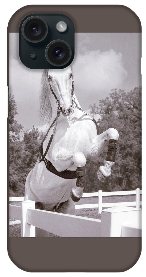 Horse iPhone Case featuring the photograph Airs Above the Ground - Lipizzan Stallion Rearing by Mitch Spence