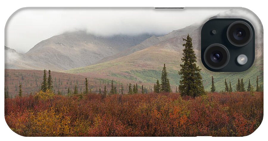 Alaska iPhone Case featuring the photograph Alaska Autumn 87 by David Drew