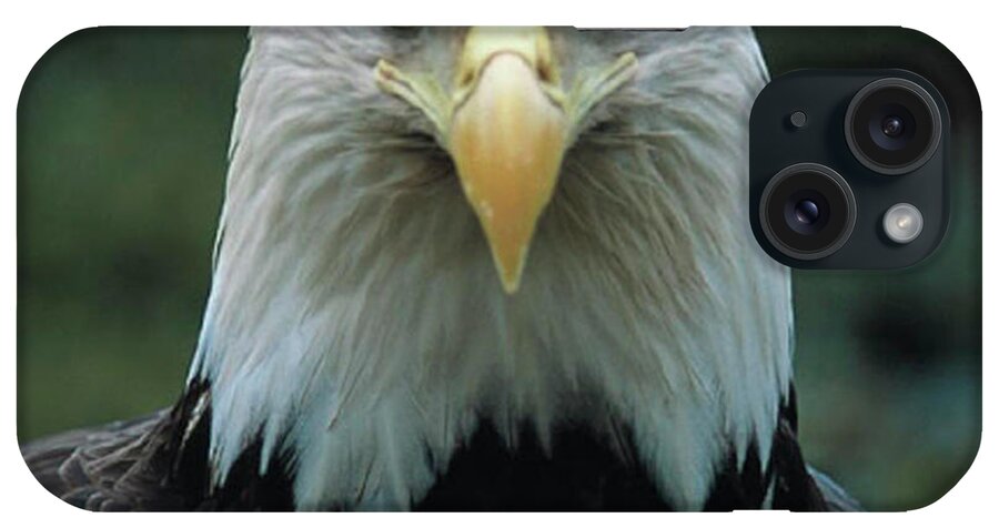 Eagle iPhone Case featuring the photograph Alaskan Eagle by Quwatha Valentine