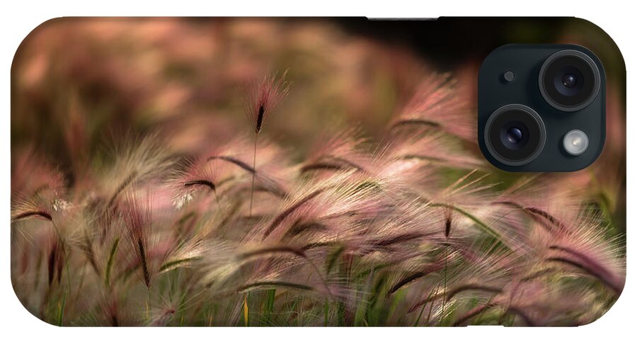 Abstract iPhone Case featuring the photograph Alaskan Summer Foxtail by Scott Slone