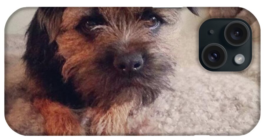 Dog iPhone Case featuring the photograph Albert Portrait by Rowena Tutty