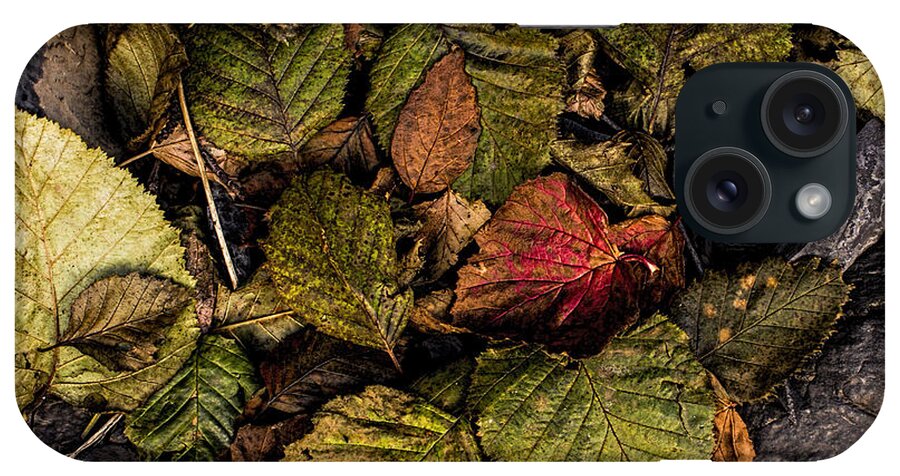Leaves iPhone Case featuring the photograph Alder Leaves Dan Creek 2015 by Fred Denner