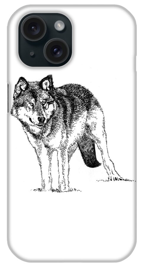 Alert iPhone Case featuring the drawing Alert Wolf by David Kleinsasser
