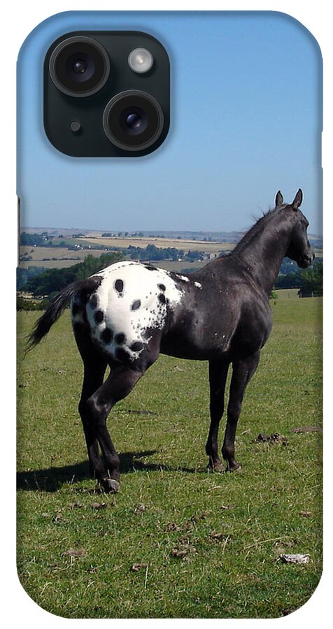 Horses iPhone Case featuring the photograph All he surveys by Susan Baker