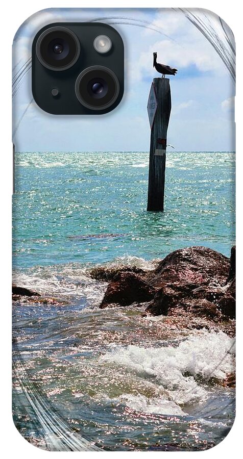 Pelican iPhone Case featuring the photograph All is Well by Sheri McLeroy