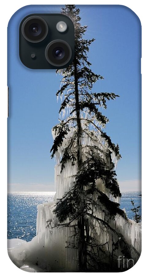 Spruce Tree iPhone Case featuring the photograph All Spruced Up by Sandra Updyke