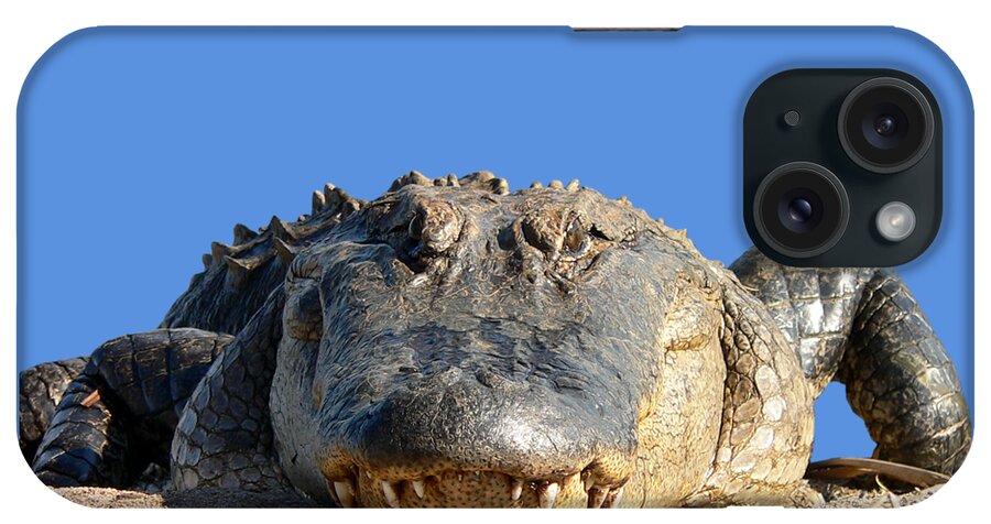 Gator iPhone Case featuring the photograph Alligator Approach .png by Al Powell Photography USA