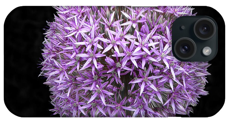 Flora iPhone Case featuring the photograph Allium by Mariarosa Rockefeller