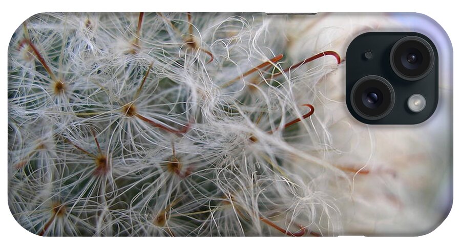 Flowers iPhone Case featuring the photograph Allium Sativum by Jolanta Anna Karolska