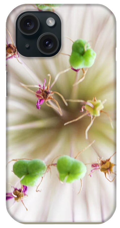 Allium iPhone Case featuring the photograph Allium Zoom by Diane Fifield