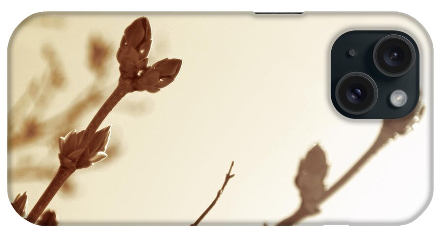 Lilacs iPhone Case featuring the photograph Almost by Becca Wilcox