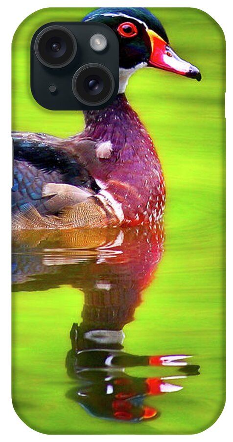 Jean Noren iPhone Case featuring the photograph Almost Perfect Wood Duck by Jean Noren