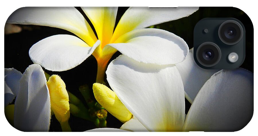 Plumeria iPhone Case featuring the photograph Aloha Flowers by Scott Cameron