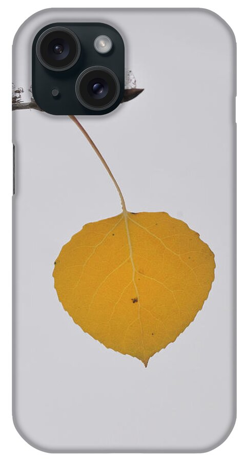 Nature iPhone Case featuring the photograph Alone In The Snow by Ron Cline