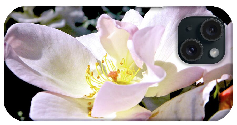 Flower Photography iPhone Case featuring the photograph Along the Trail of Tears 003 by Michael Genevro