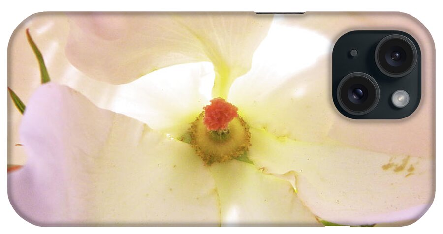 Flower Photography iPhone Case featuring the photograph Along the Trail of Tears 010 by Michael Genevro