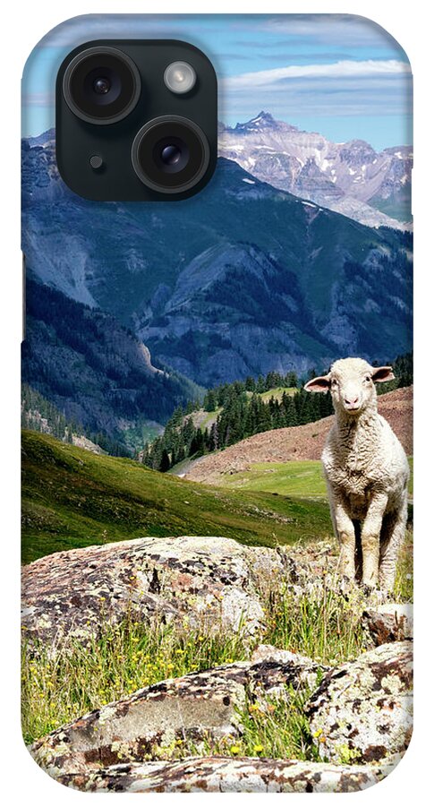 Lamb iPhone Case featuring the photograph Alpine Lamb by David Soldano