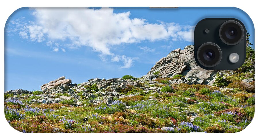 Alpine iPhone Case featuring the photograph Alpine Rock Garden by Jeff Goulden