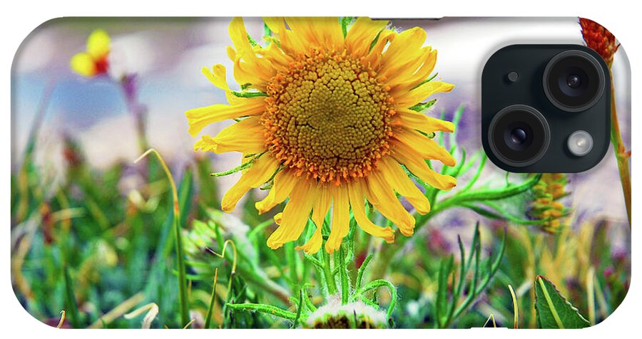 Sunflower iPhone Case featuring the photograph Alpine Sunflower in Summer by Robert Meyers-Lussier