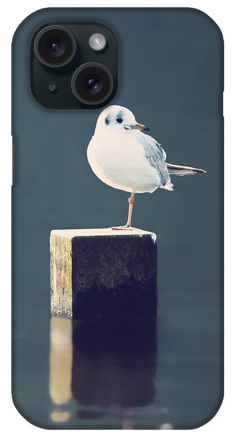 Gull iPhone Case featuring the photograph Am I Alone by Wim Lanclus