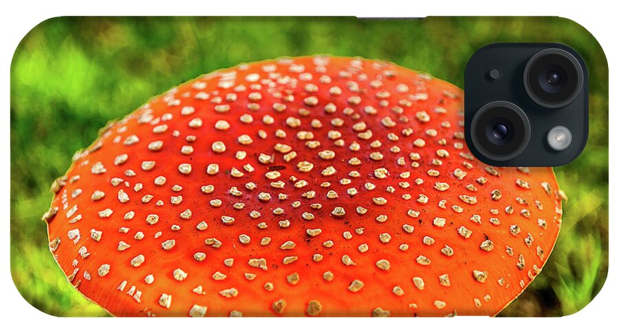 Mushroom iPhone Case featuring the photograph Amanita Mushroom by Jerry Cahill