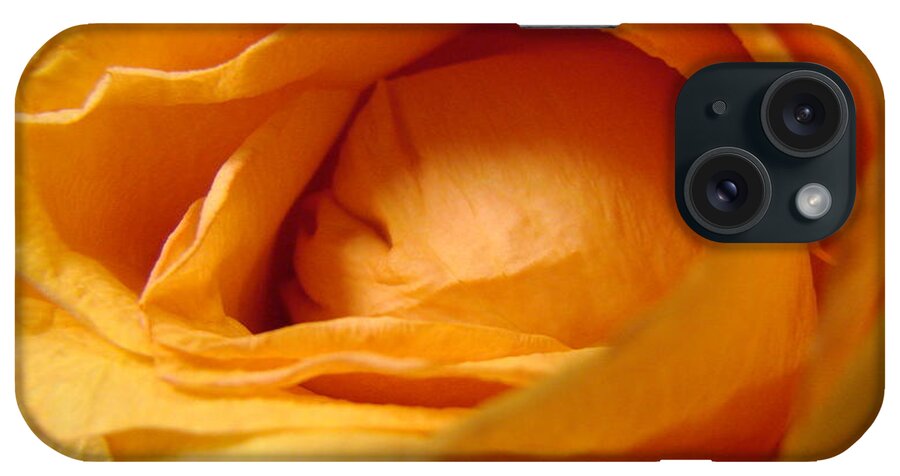 Yellow iPhone Case featuring the photograph Amber's Rose by Mary Halpin