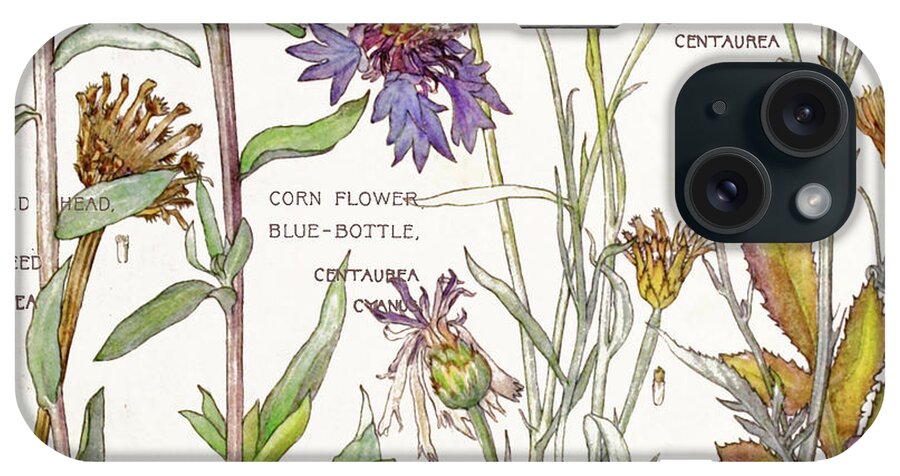 Flowers iPhone Case featuring the painting Ambrosia III by Mindy Sommers