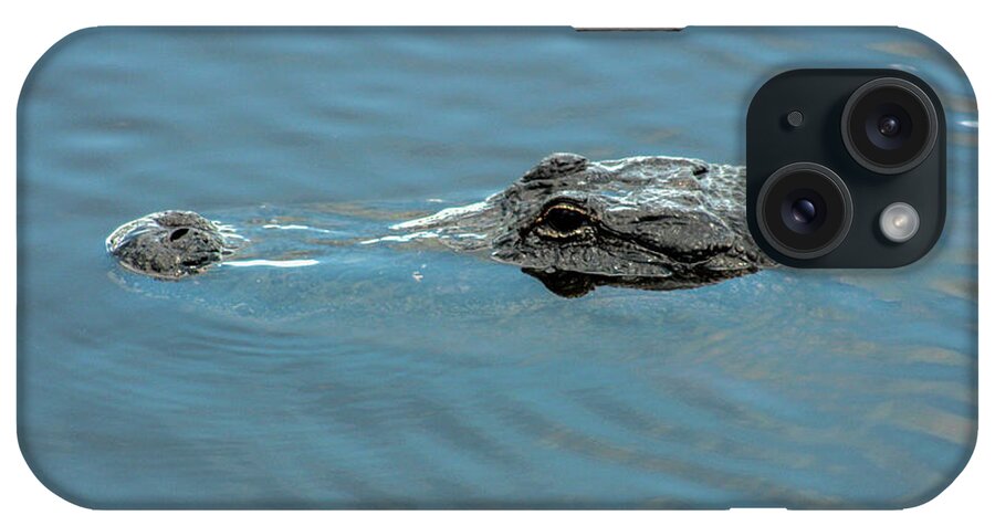 Alligator iPhone Case featuring the photograph American Alligator Profile by Robert Wilder Jr