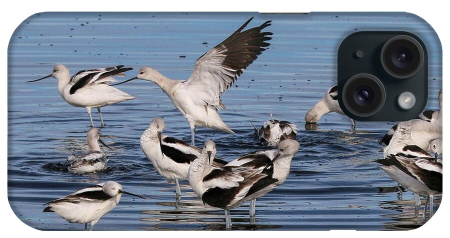American Avocet iPhone Case featuring the photograph American Avocet's Taking a Break by Dorothy Cunningham