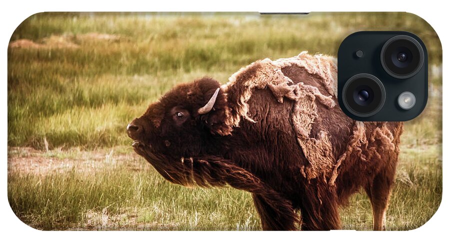 American West iPhone Case featuring the photograph American Bison into the wind by Chris Bordeleau