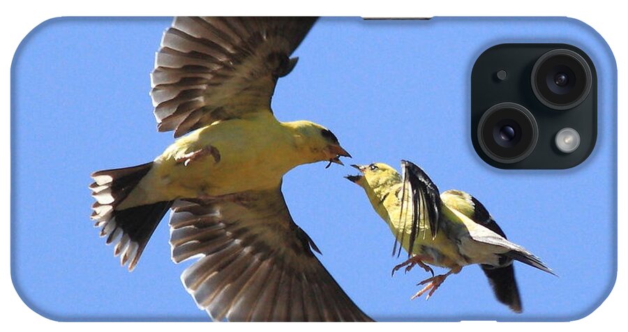 Bird iPhone Case featuring the photograph American Goldfinch Exchange by Wingsdomain Art and Photography
