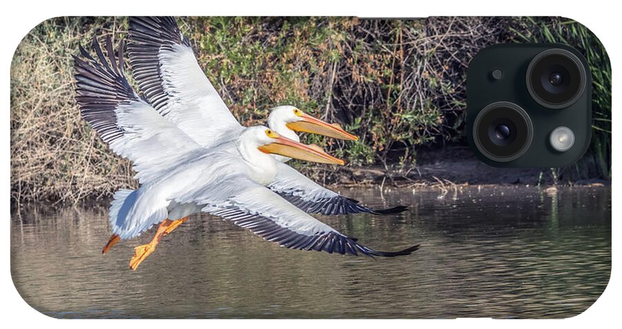 American iPhone Case featuring the photograph American White Pelican 9597-022318-1cr by Tam Ryan