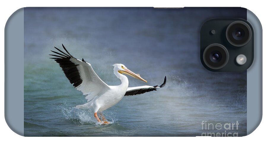 American White Pelican iPhone Case featuring the photograph American White Pelican by Bonnie Barry