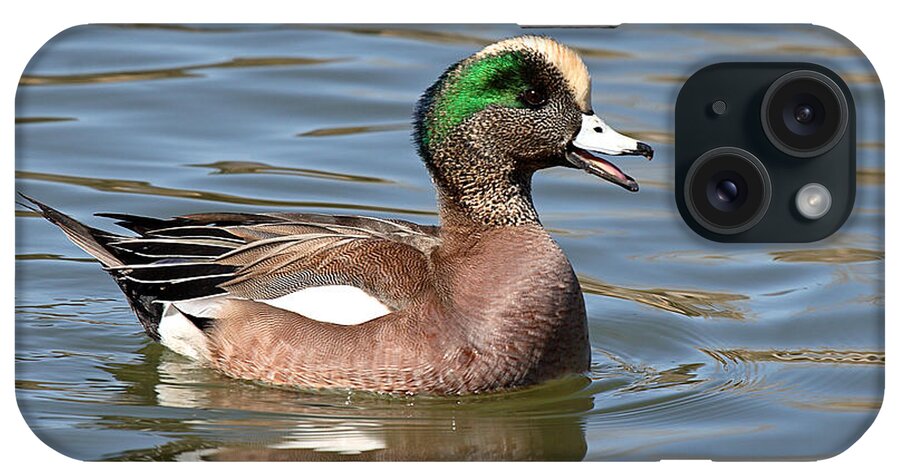 Widgeon iPhone Case featuring the photograph American Widgeon Calling From The Water by Max Allen