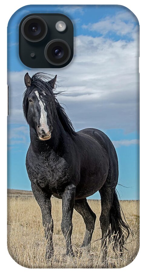 Horse iPhone Case featuring the photograph American Wild Horse by Scott Read