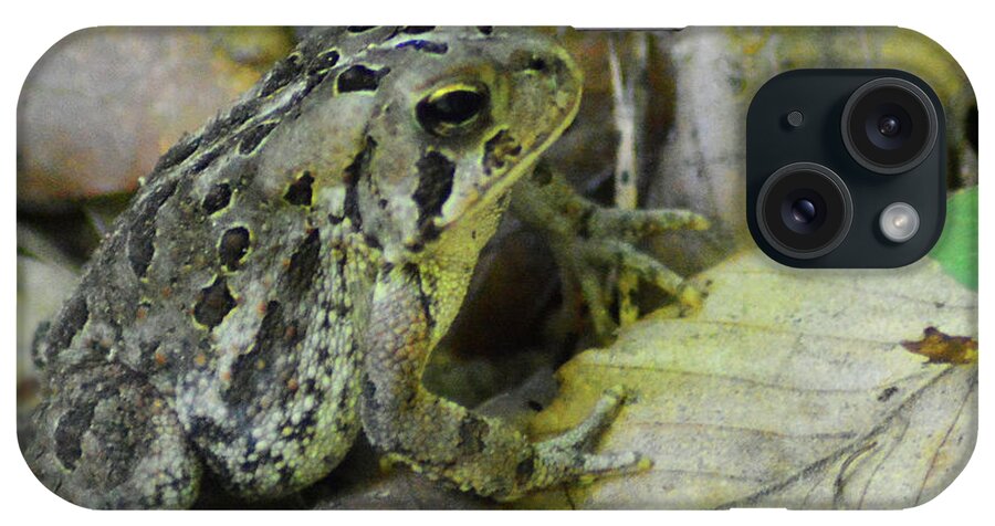 Toad iPhone Case featuring the digital art Among the Leaves by Kathy Kelly