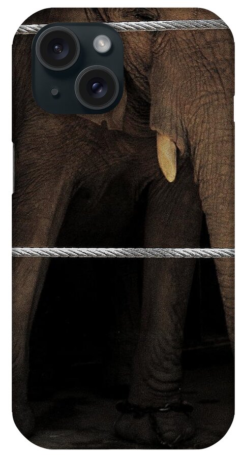 Elephants iPhone Case featuring the photograph An Apology to Elephants by Jeff Heimlich