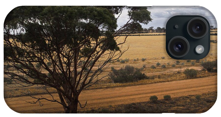 Digital Color Photo iPhone Case featuring the photograph An Australian Tree by Tim Richards