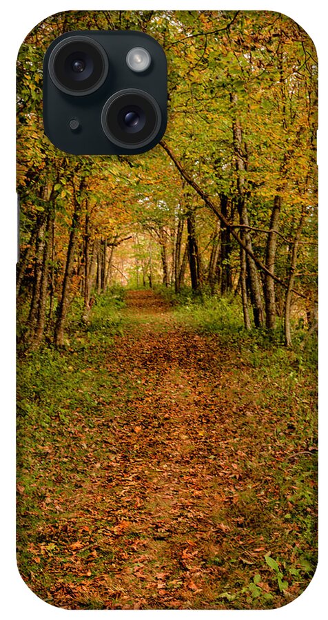 Autumn iPhone Case featuring the photograph An Autumn's Walk by Kevin Senter