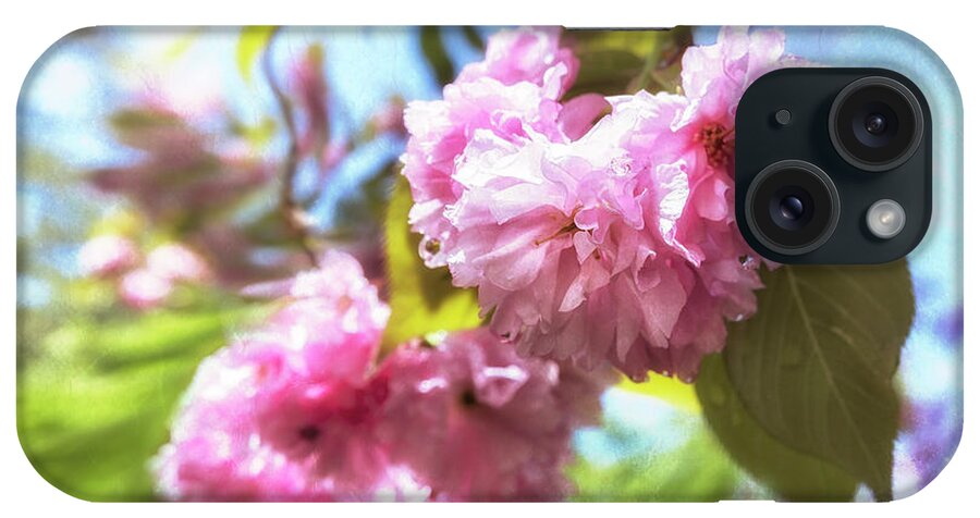 Cherry Blossom iPhone Case featuring the photograph And the World Falls Away by Belinda Greb
