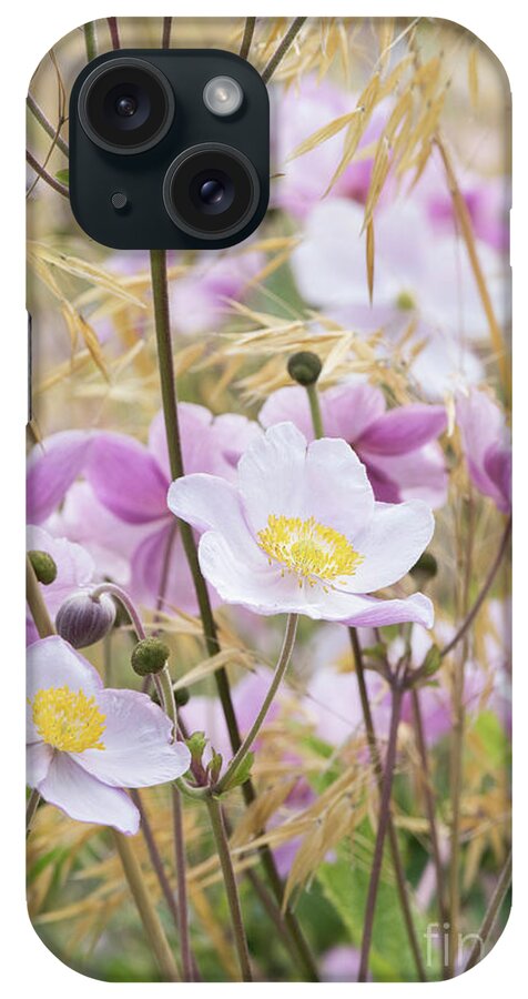 Anemone X Hybrida Elegans iPhone Case featuring the photograph Anemone Flowers Amongst Stipa Grass by Tim Gainey