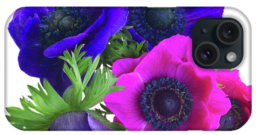 Anemone iPhone Case featuring the photograph Anemones Posy by Anastasy Yarmolovich
